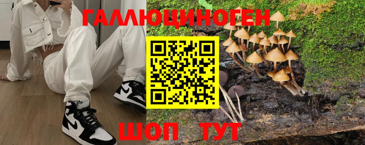 Галлюциногенные грибы Cubensis Миллерово